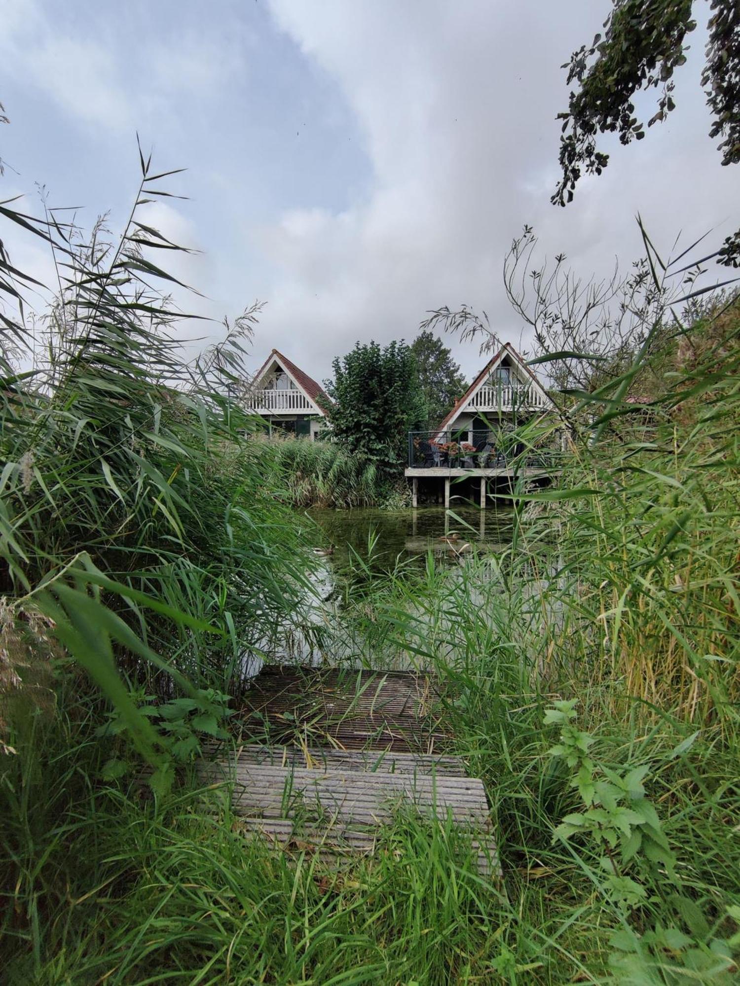 Vakantiehuis Bij Lauwersmeer أنيوم المظهر الخارجي الصورة