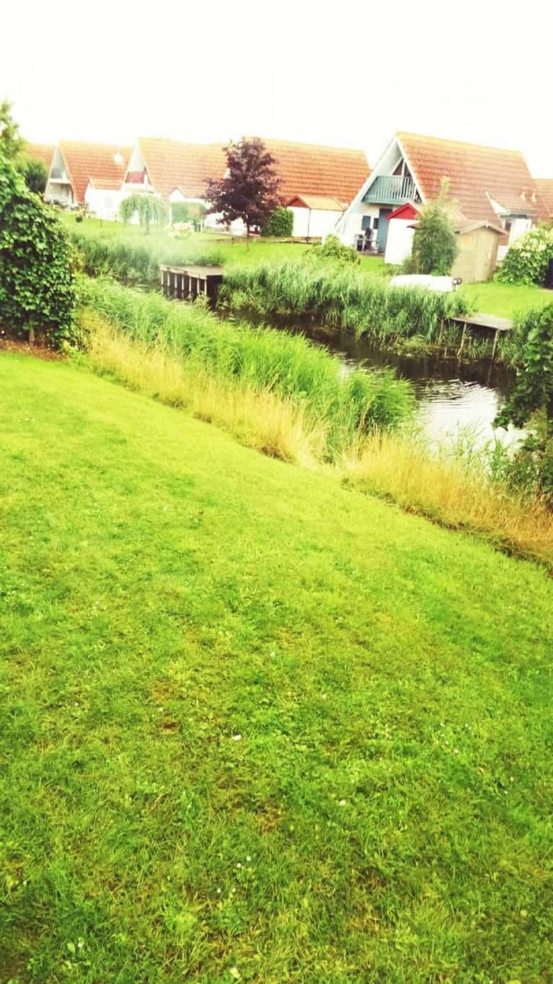 Vakantiehuis Bij Lauwersmeer أنيوم المظهر الخارجي الصورة